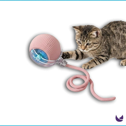 Interactive Cat Ball Toy - Automatic Smart Toy For Cats