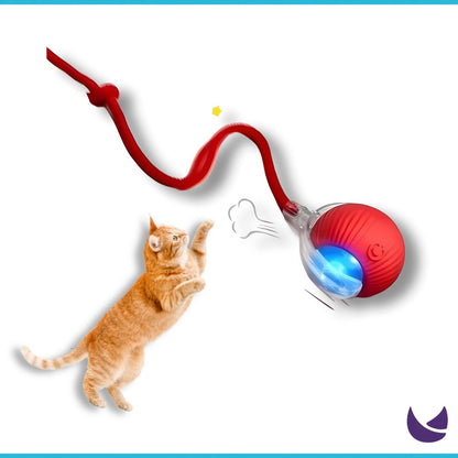 Interactive Cat Ball Toy – Automatic Smart Toy For Cats