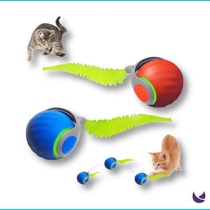 Interactive Cat Toy Ball Speedy Tail