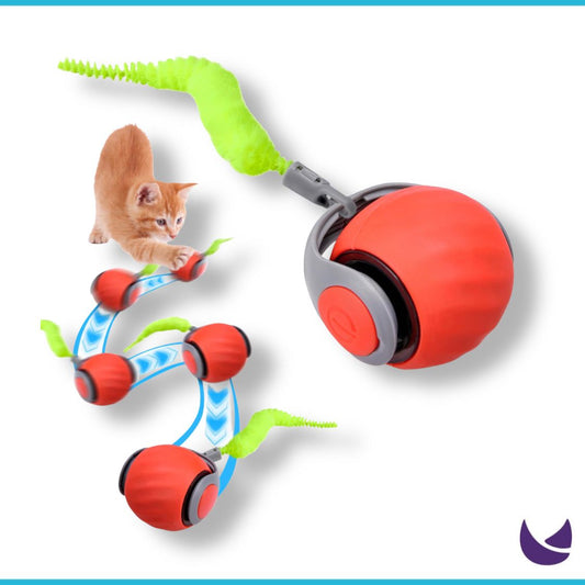Interactive Cat Toy Ball Speedy Tail - Automatic Rolling Cat Toy