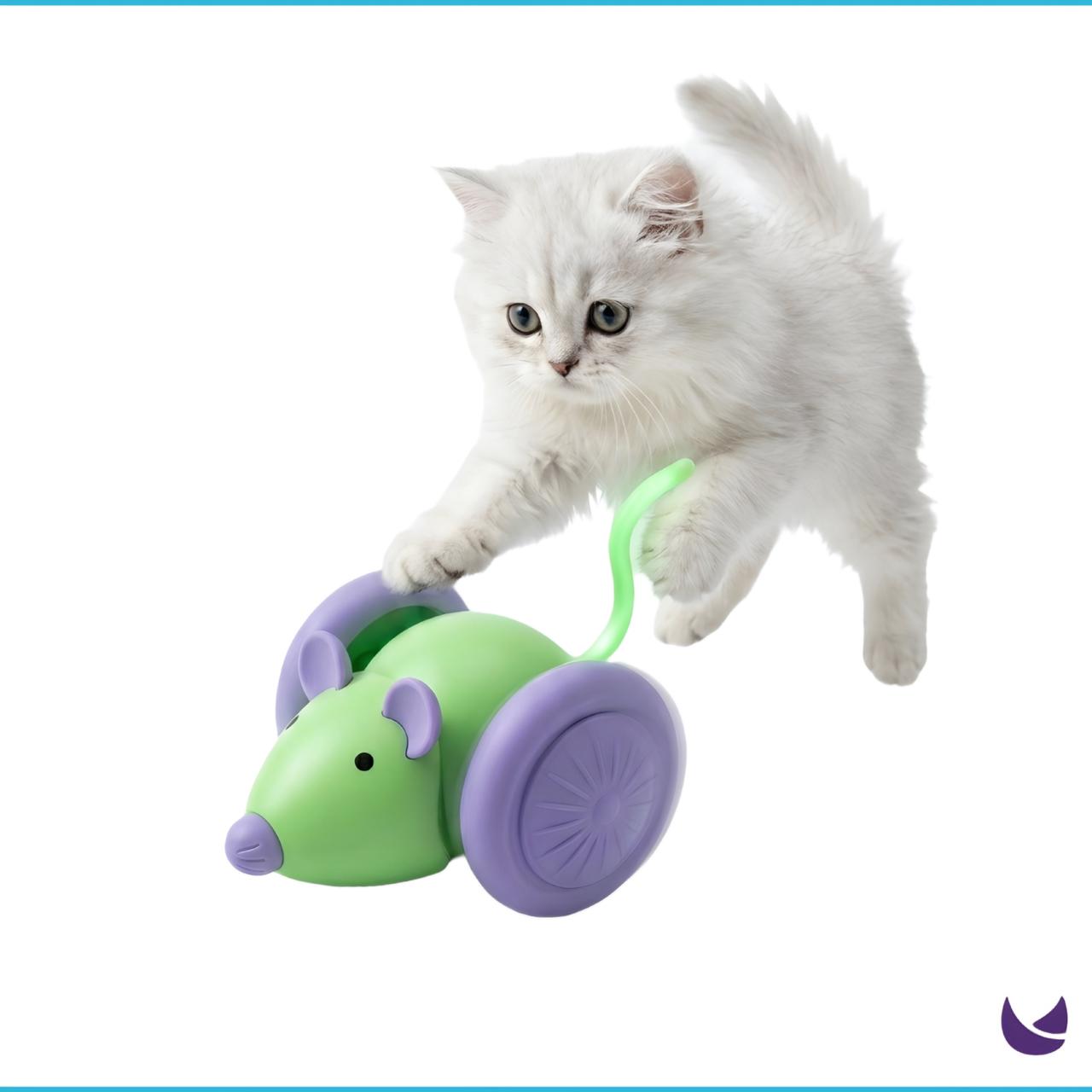 Interactive Mouse Cat Toy with Rolling Wheels 1