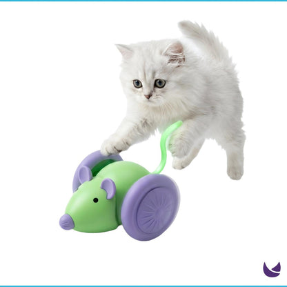 Interactive Mouse Cat Toy with Rolling Wheels 1