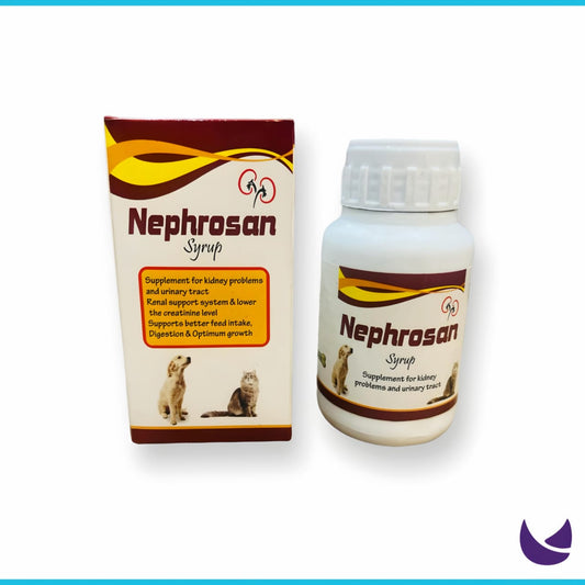 Nephrosan Syrup | Pets Supplement for Kidneys and Urinary Tract