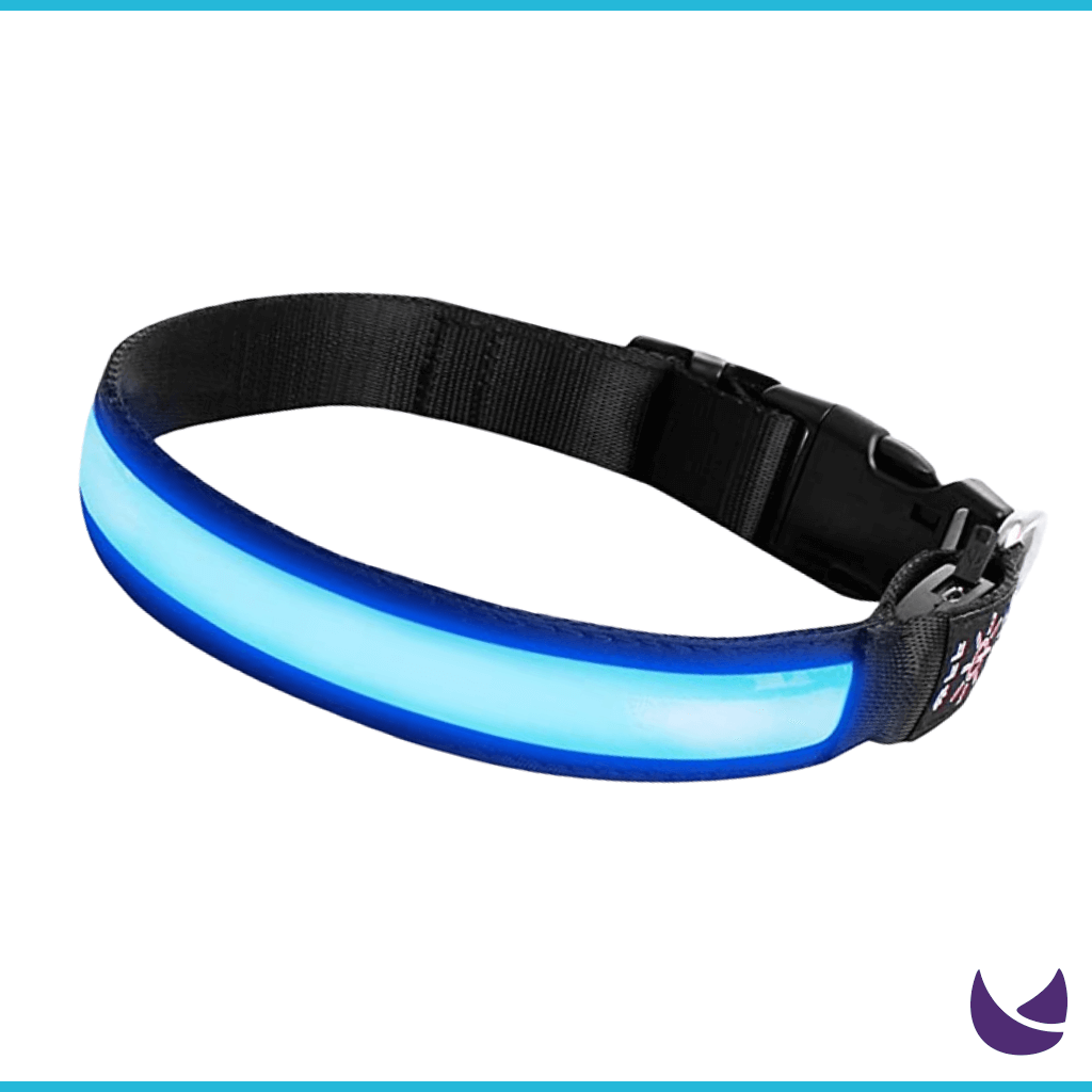 Neon LED Collar for Dogs