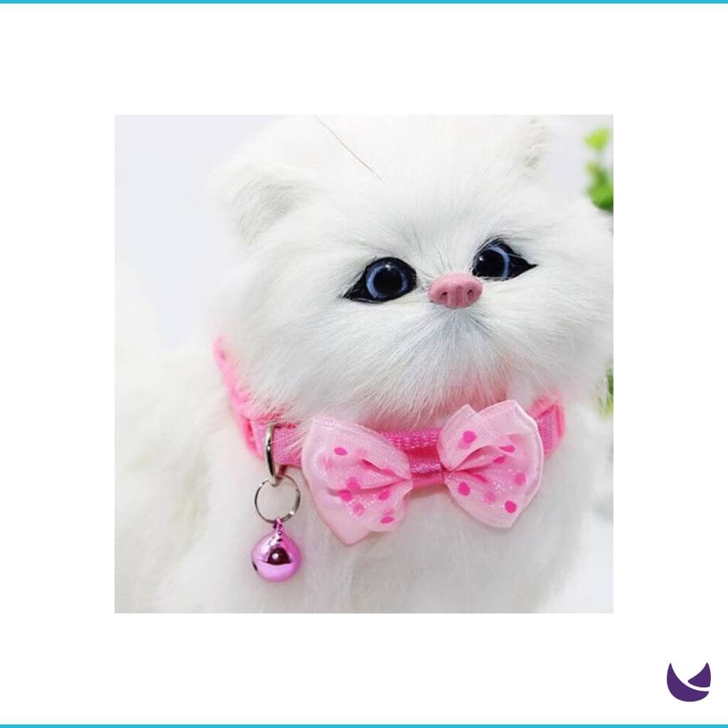 Cat Bow Collar | Cute Nylon Collar for Cats and Kittens