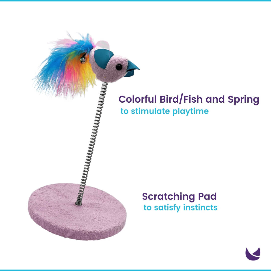 Features of feather spring and scratching pad toy