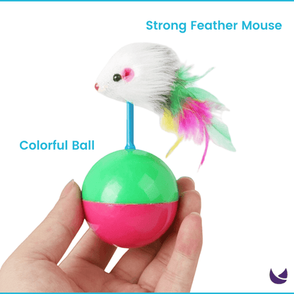 Cat Ball and Mouse Toy