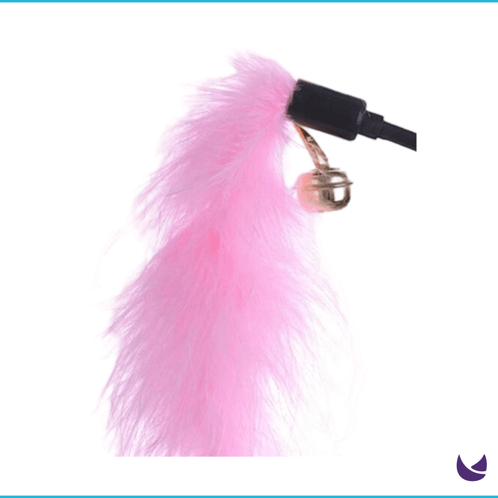 Feather Teaser Wand Toy for Cats | Soft Fur Stick with Bell