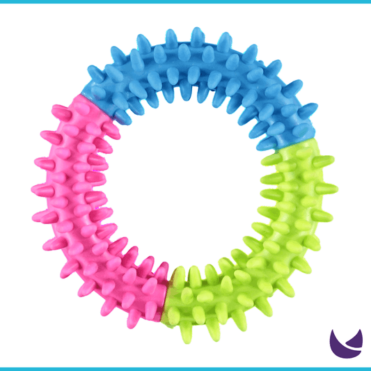 Spiky chew toy for pets