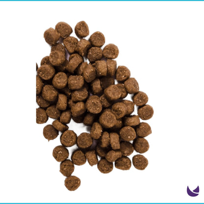 Nutra Gold Holistic Formulas Adult Cat Kibble