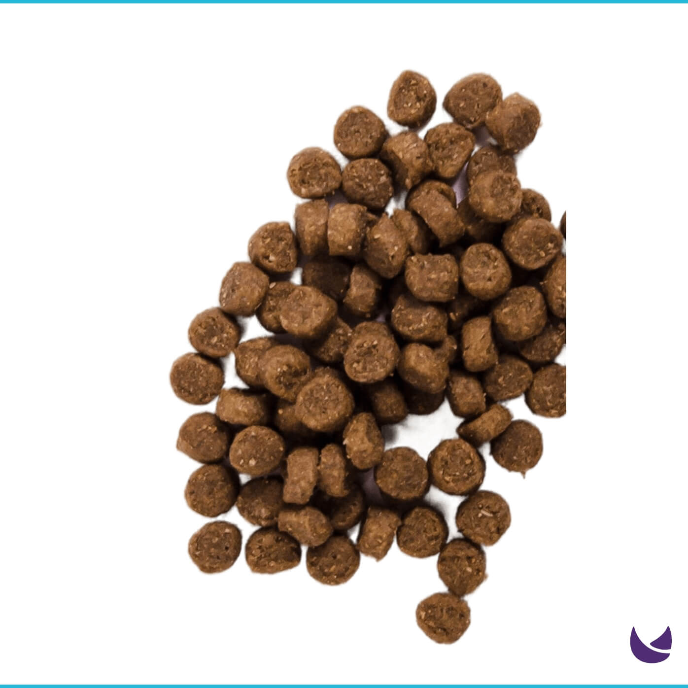 Nutra Gold Holistic Formulas Kitten Food Kibble