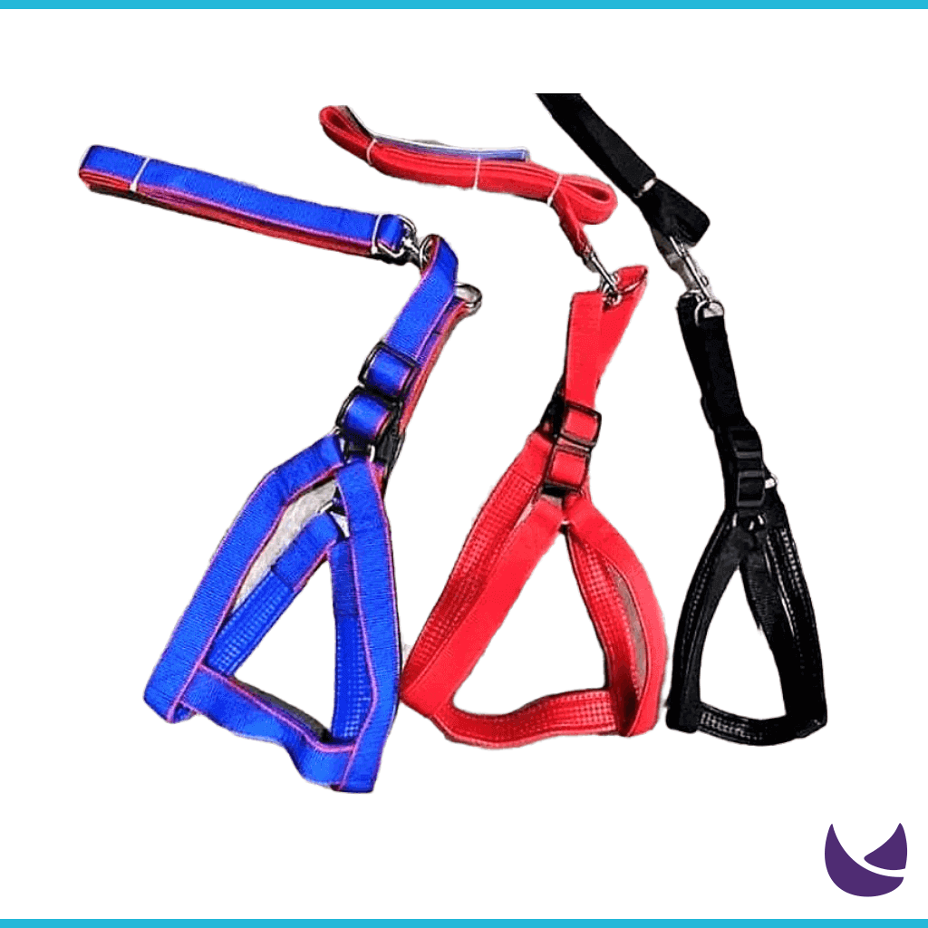 Colorful Adjustable Dog Leashes