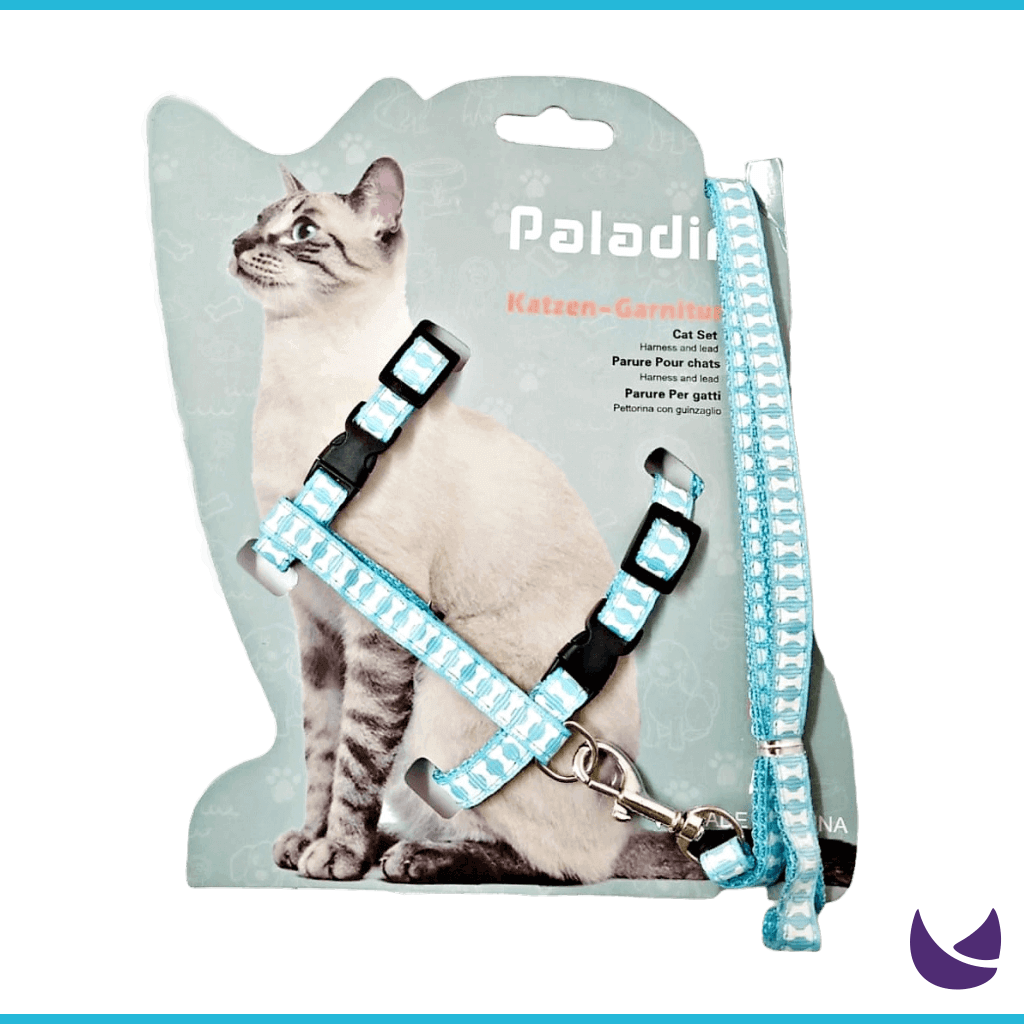 Cat harness and lead set