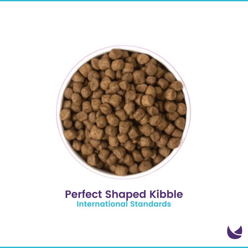 Pawfect Dry Cat Food Kibble in Bowl