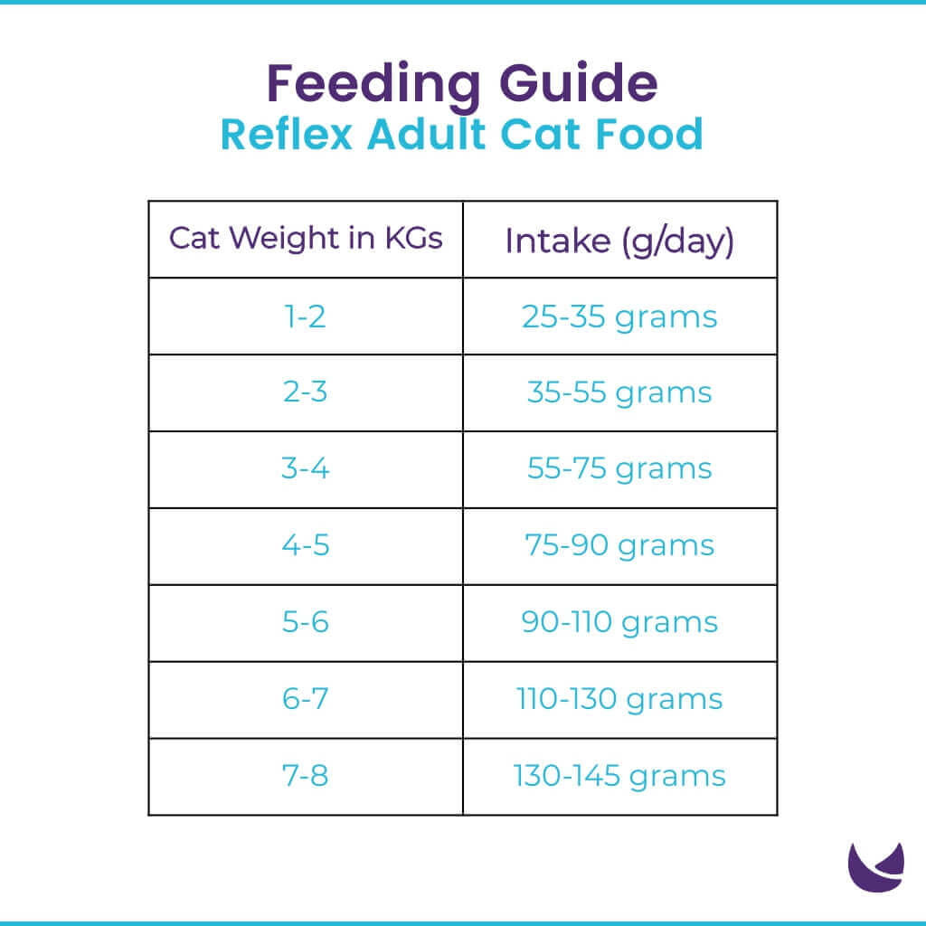 Feeding Quantity Guide