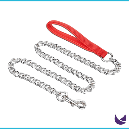 Silver chain dog leash with red nylon handle