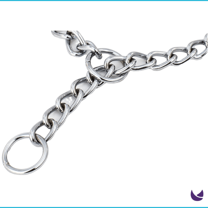 Silver Choke Chain for Dogs